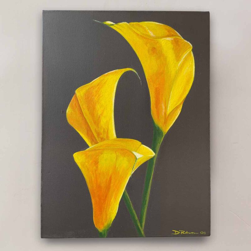 Yellow Calla Lillies Painiting on deep edged canvas