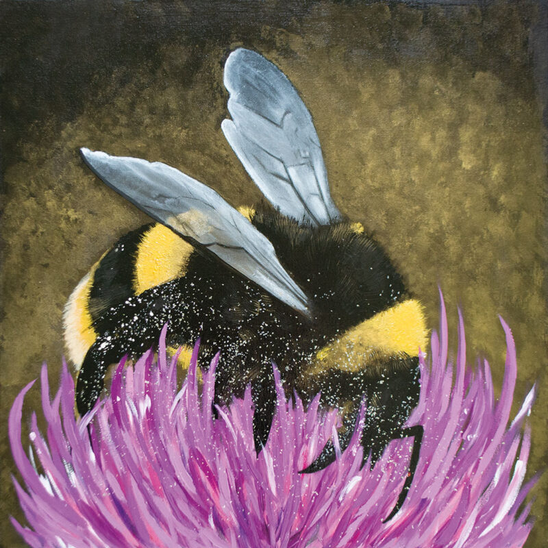 Thistle Bee - Original Painting