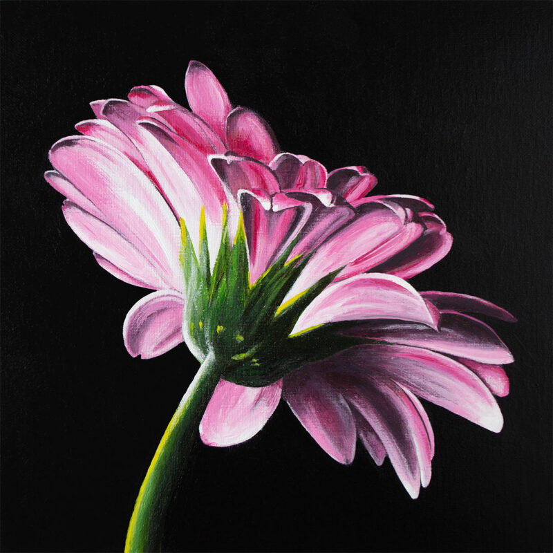 Gerbera - original painting