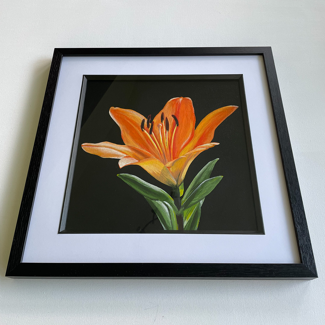 Lily #3 - Framed