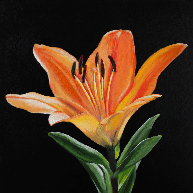 Lily #3 - Original Painting