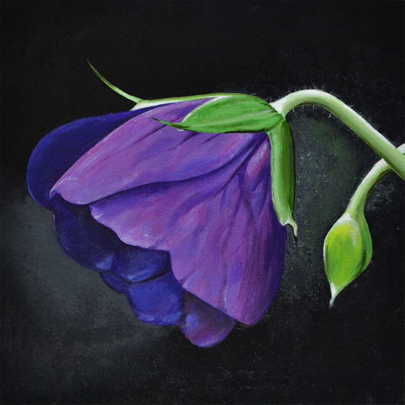 Wildflower #1 - original painting