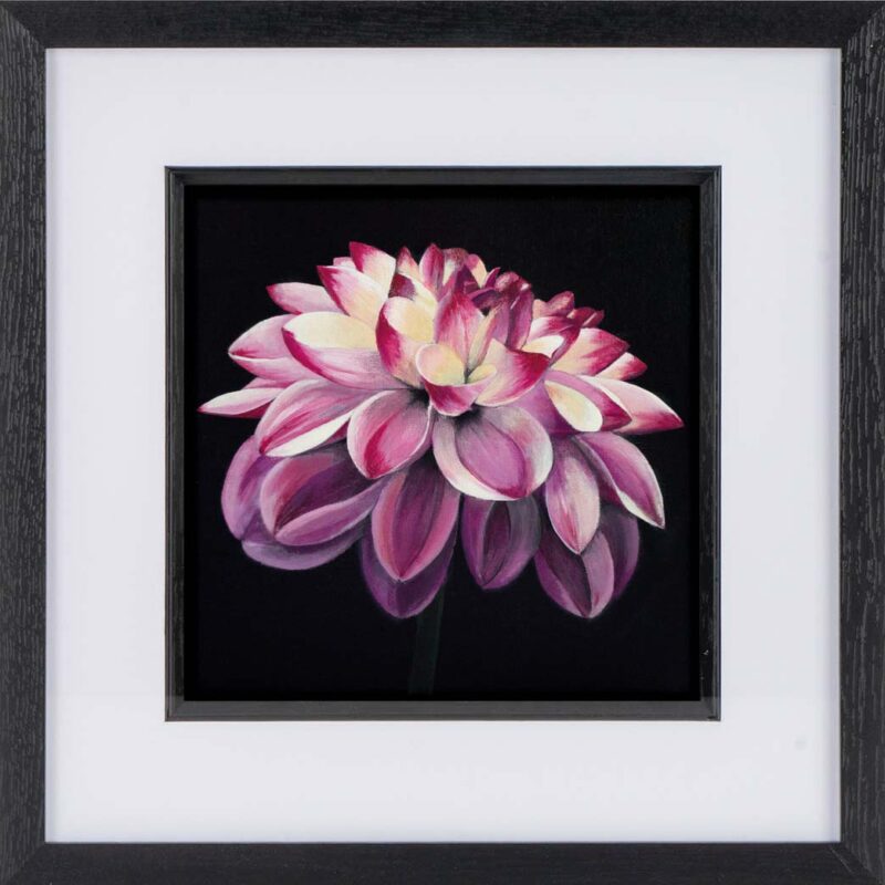 Dahlia - Art Print