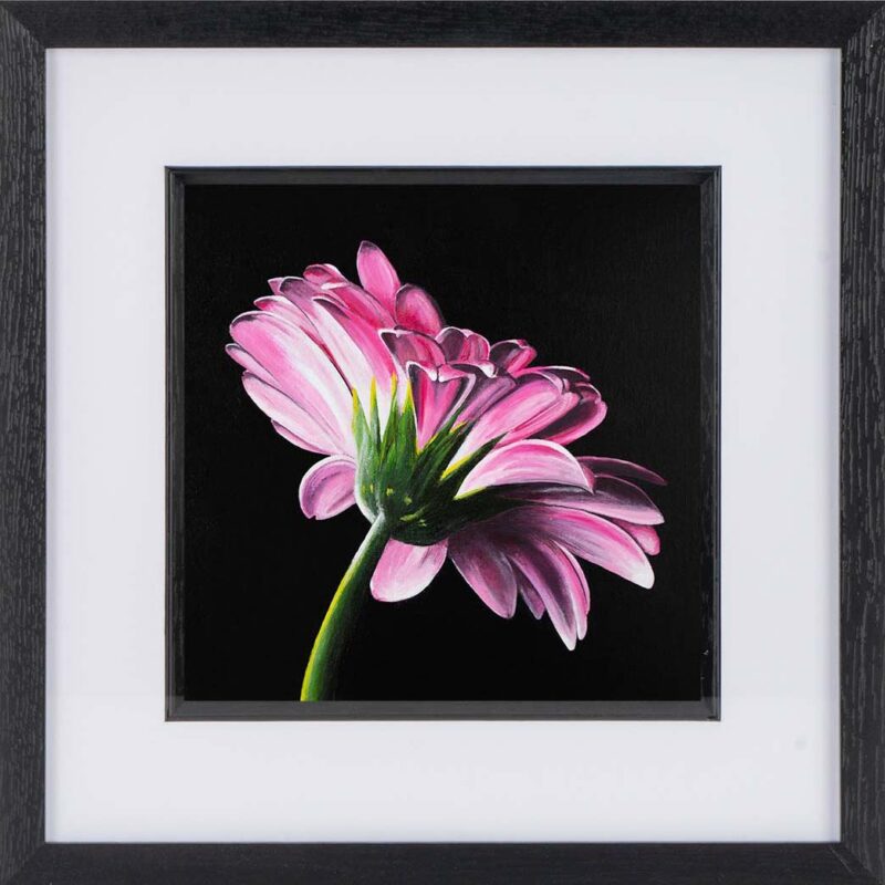 Framed Gerbera Print