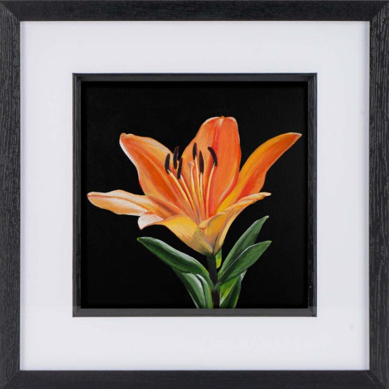 Framed Orange Lily Print