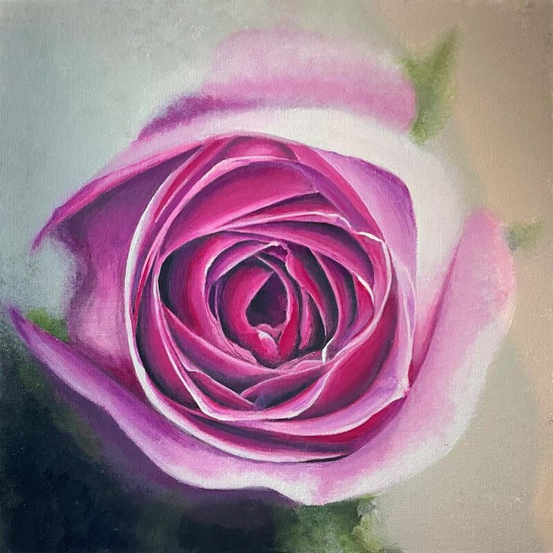 Pink Rose - Original Painting