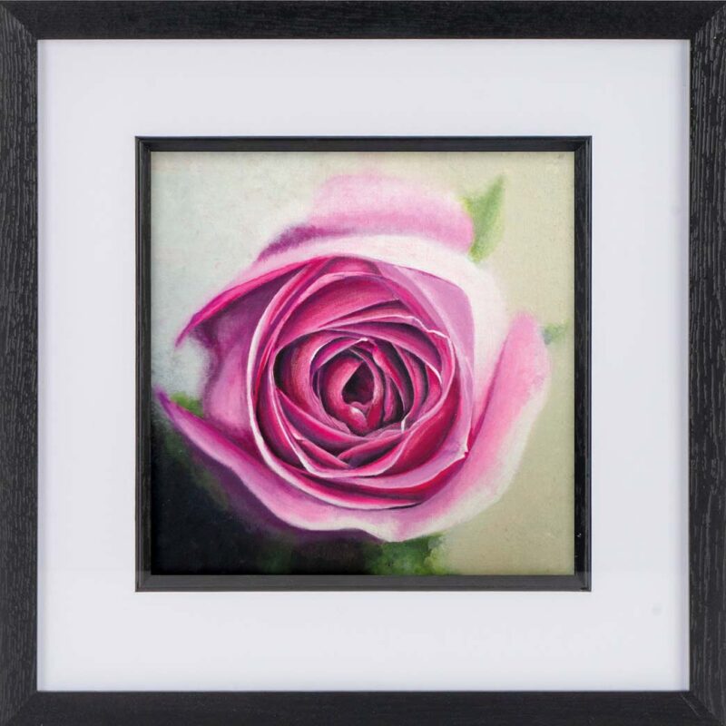 Framed Pink Rose Print