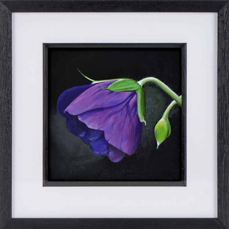Framed Wildflower Print