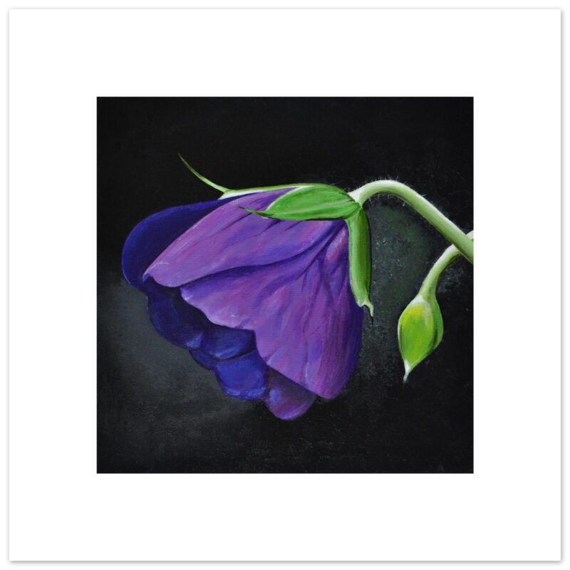 Wildflower #1 - Giclée Fine Art Print