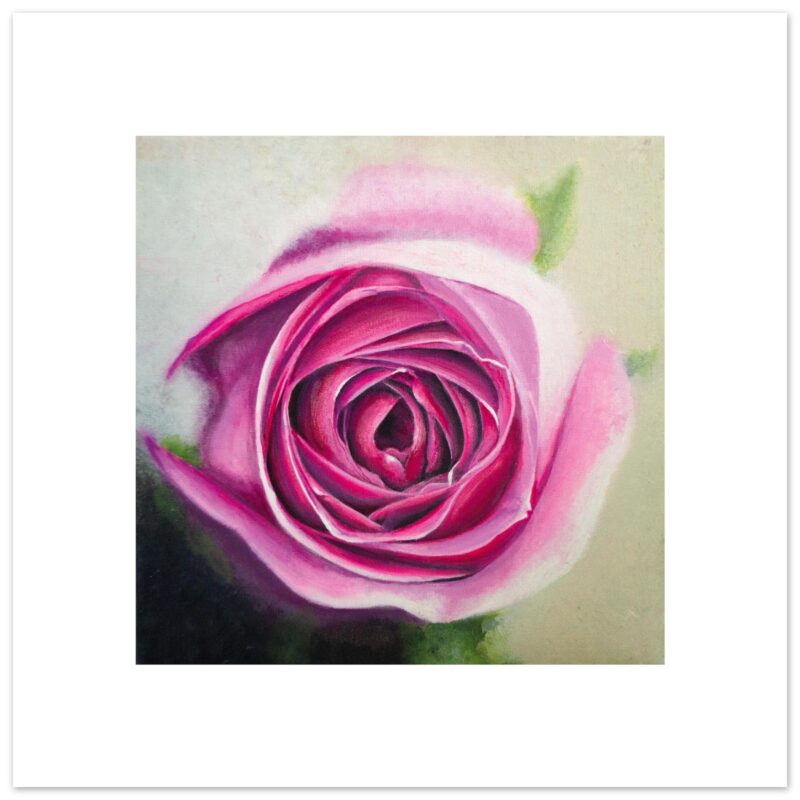 Pink Rose - Giclée Fine Art Print