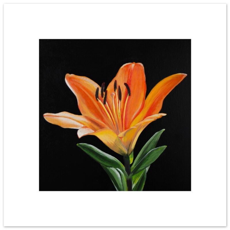 Lily #3 - Giclée Fine Art Print