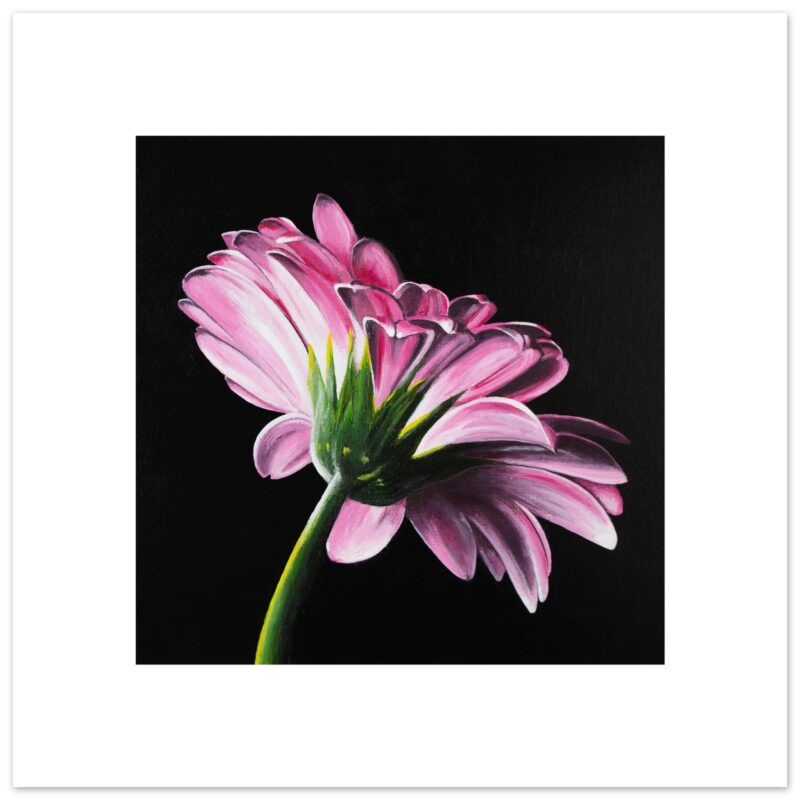 Gerbera #1 - Giclée Fine Art Print